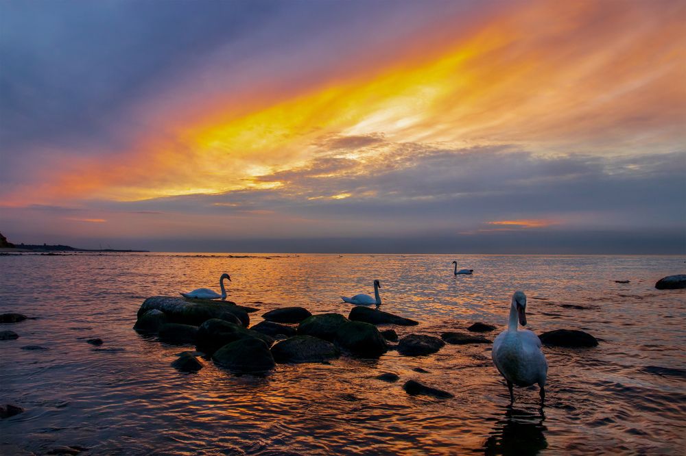 Photograph by Светлана Гущина