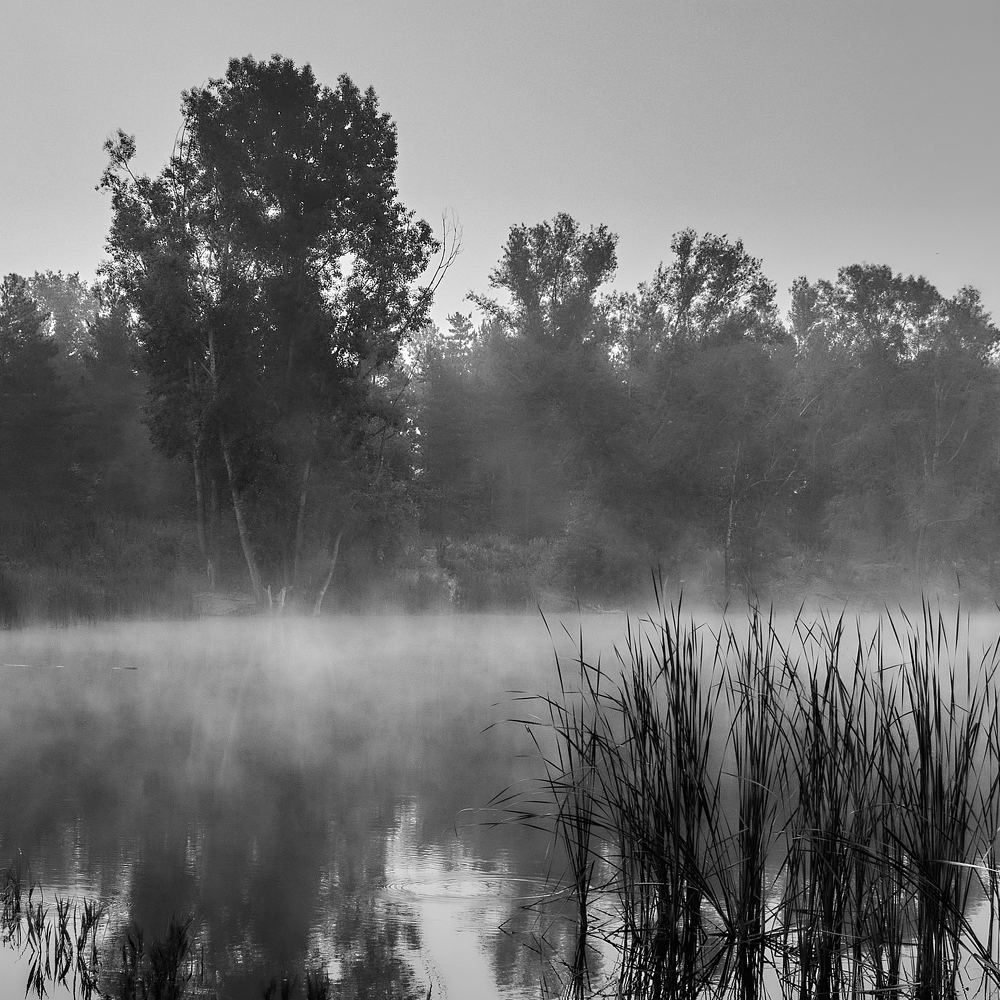 Photo #6922112