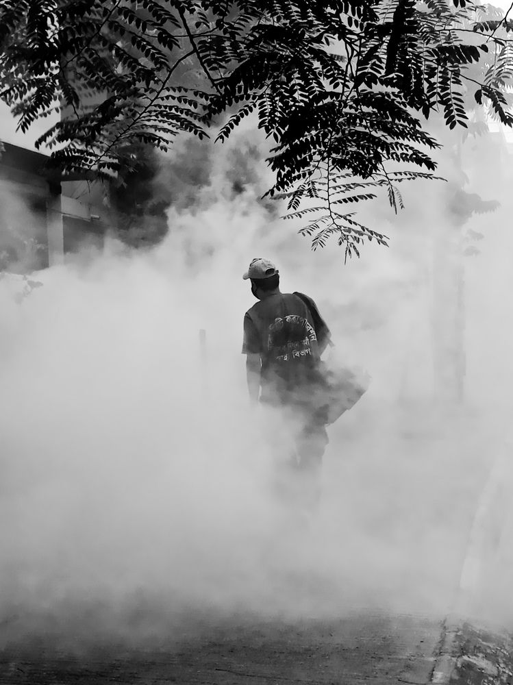 Photograph by Tashin Parvez