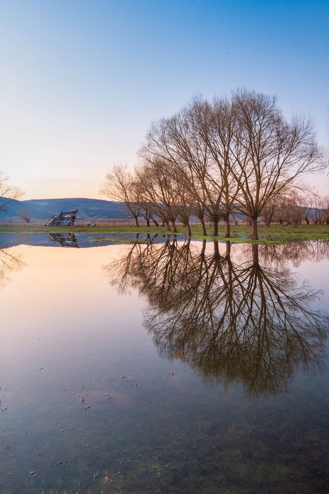 Photograph by Hoandra Ilie