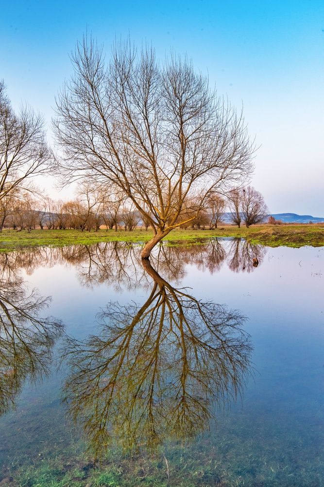 Photograph by Hoandra Ilie