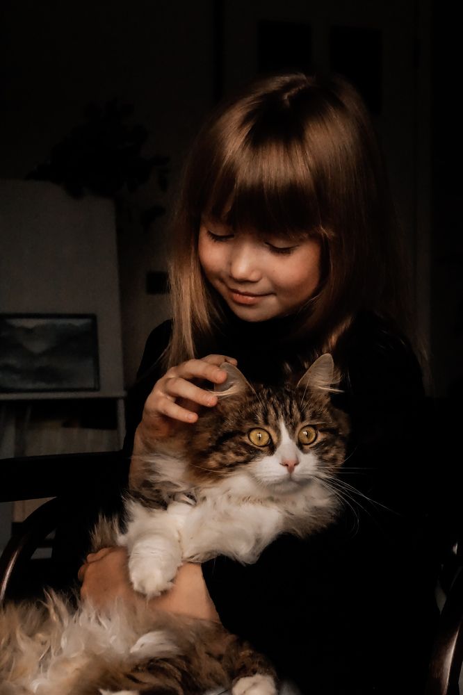 Любимый котик