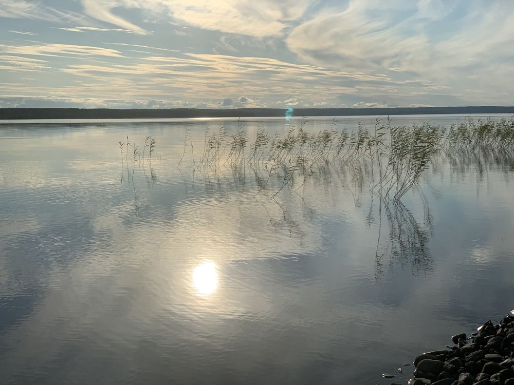 Photograph by Ольга Ильина