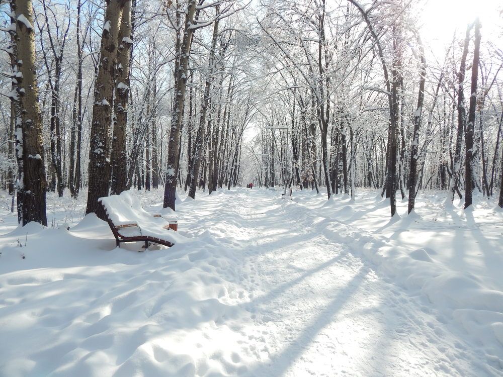 Снежная скамейка.