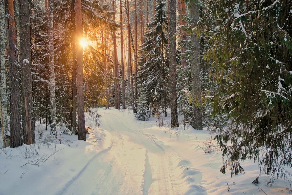 Photograph by Наталья Баруля