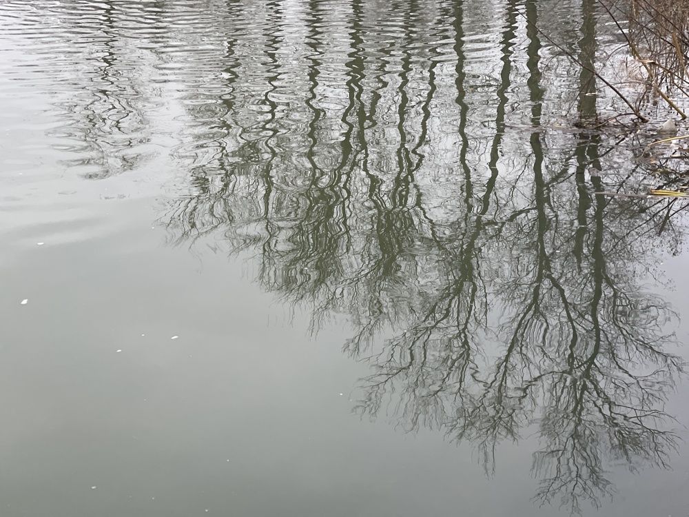 Photograph by Григорий Лыжин