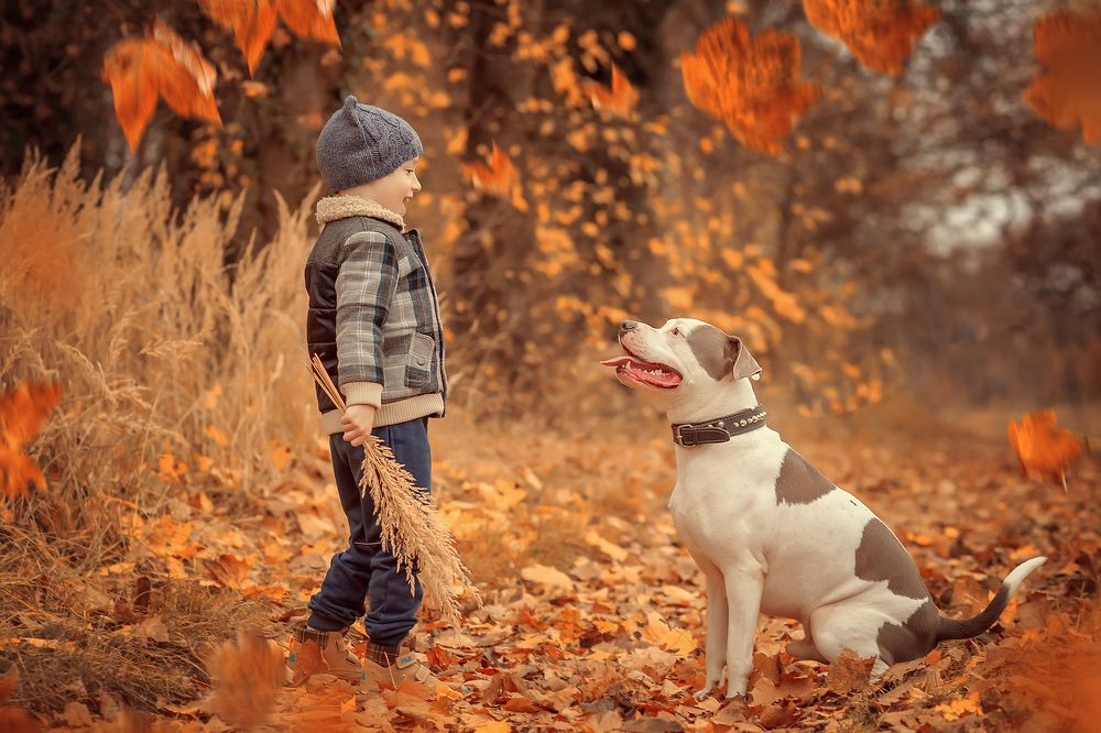 Photograph by Iryna Petrenko