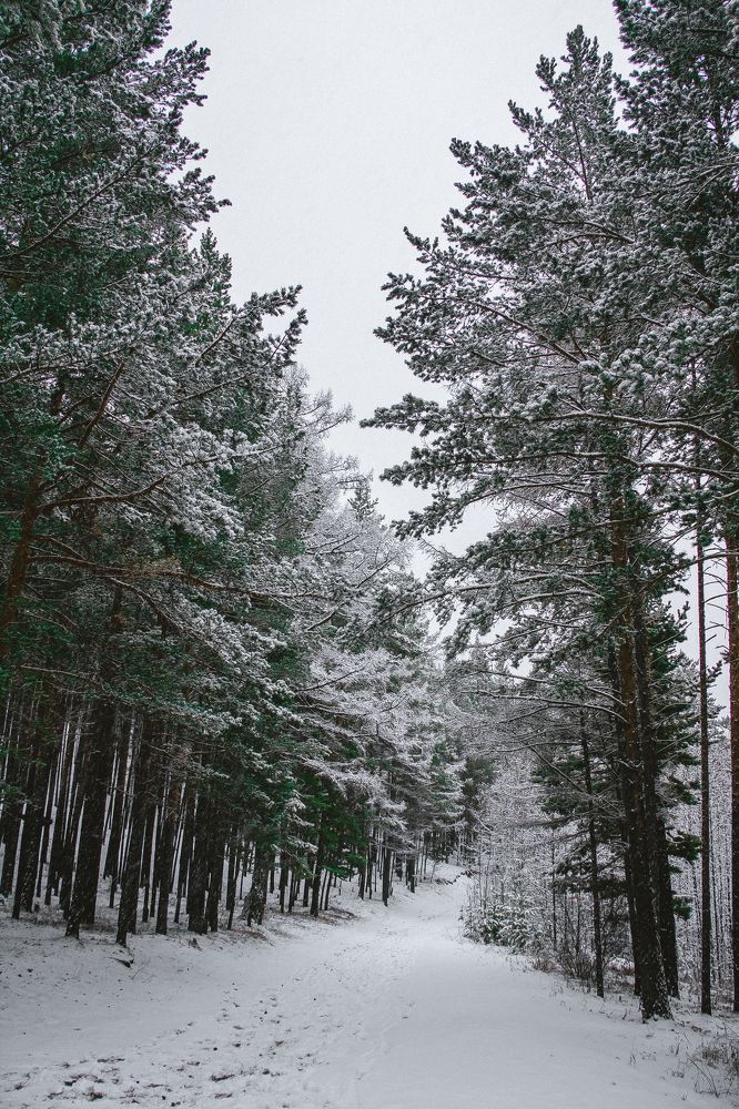 Photograph by Денис Шмаков