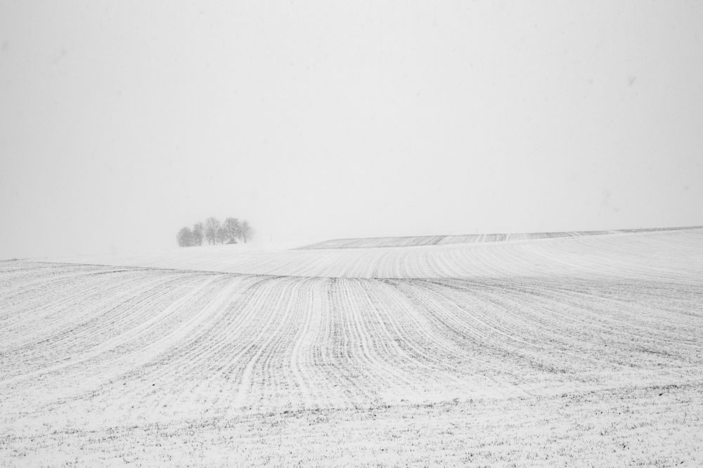 Photograph by Ellen Lichtenheldt