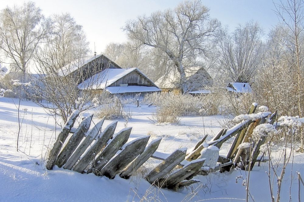 Морозное утро