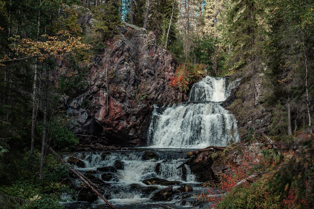 Photograph by Анна Гиндендорф