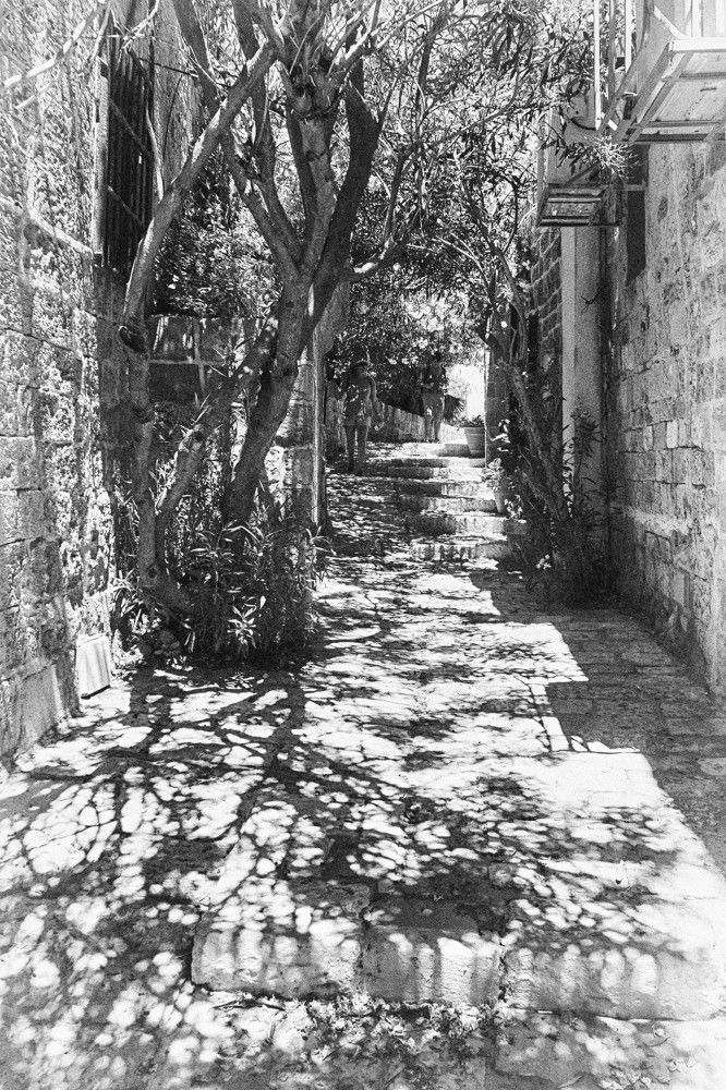 Photograph by Шмулевич Натан