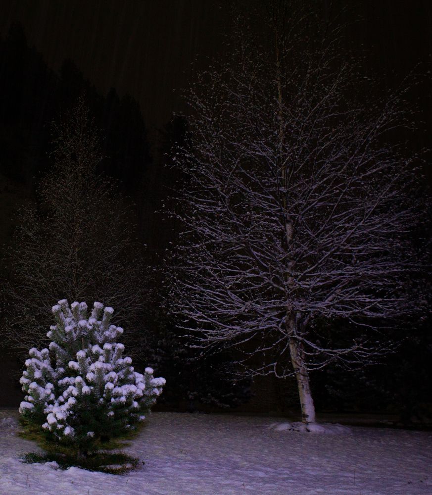 Photograph by Ронжин Дмитрий