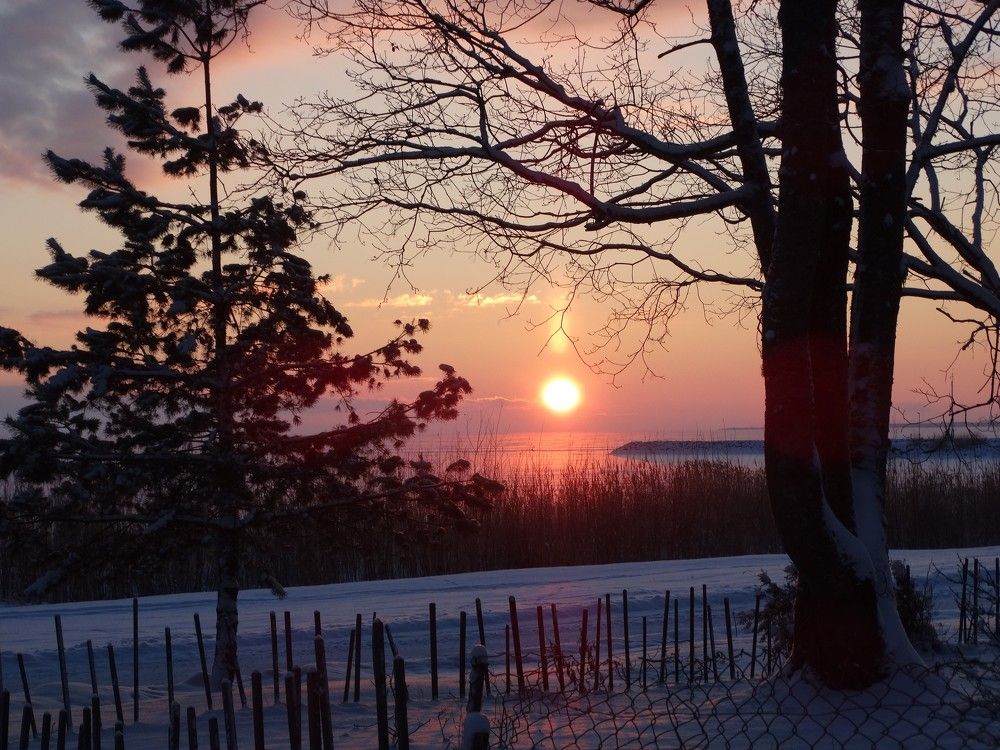 Photograph by Илона Отруцкая