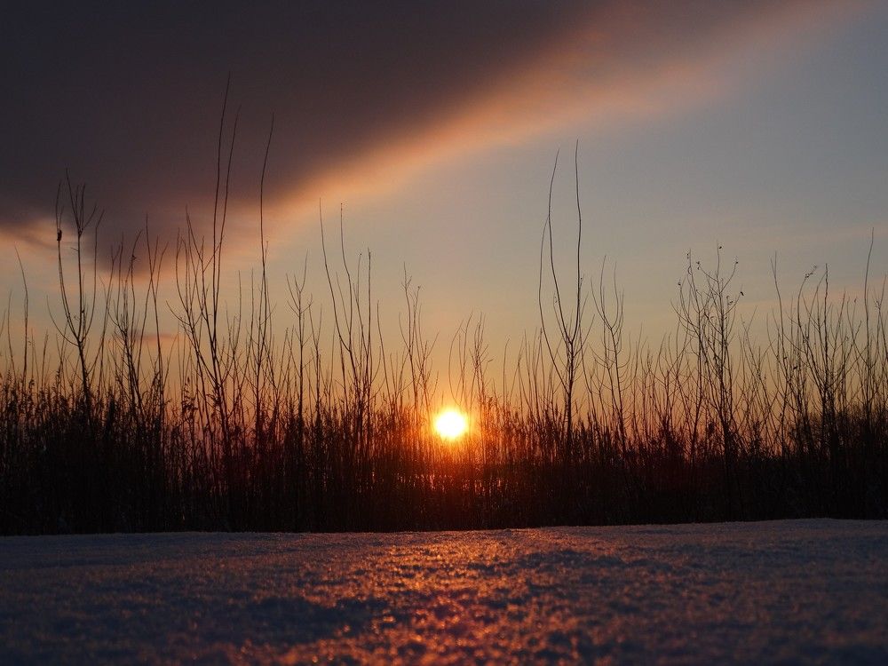 Photograph by Илона Отруцкая