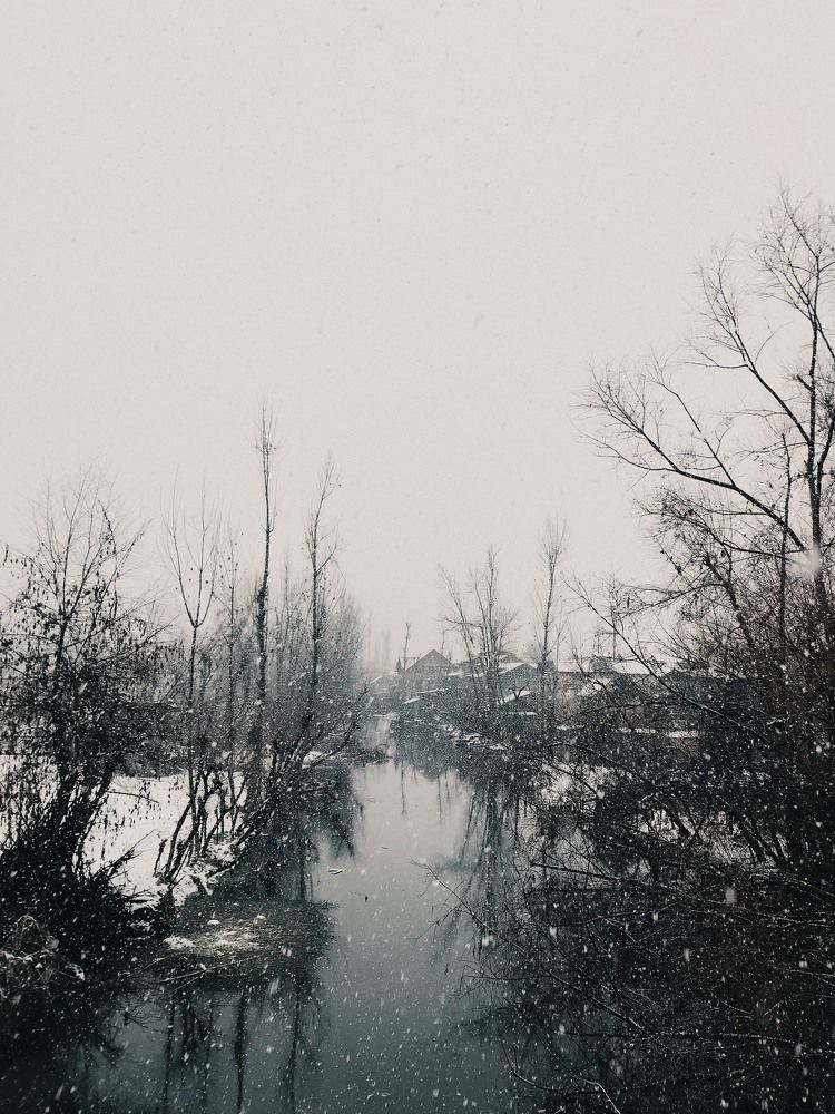 Photograph by Bazil Hamdani