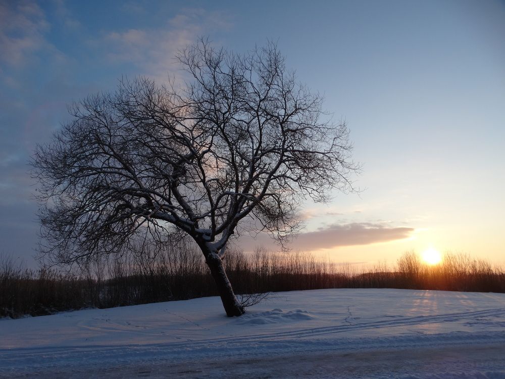 Photograph by Илона Отруцкая