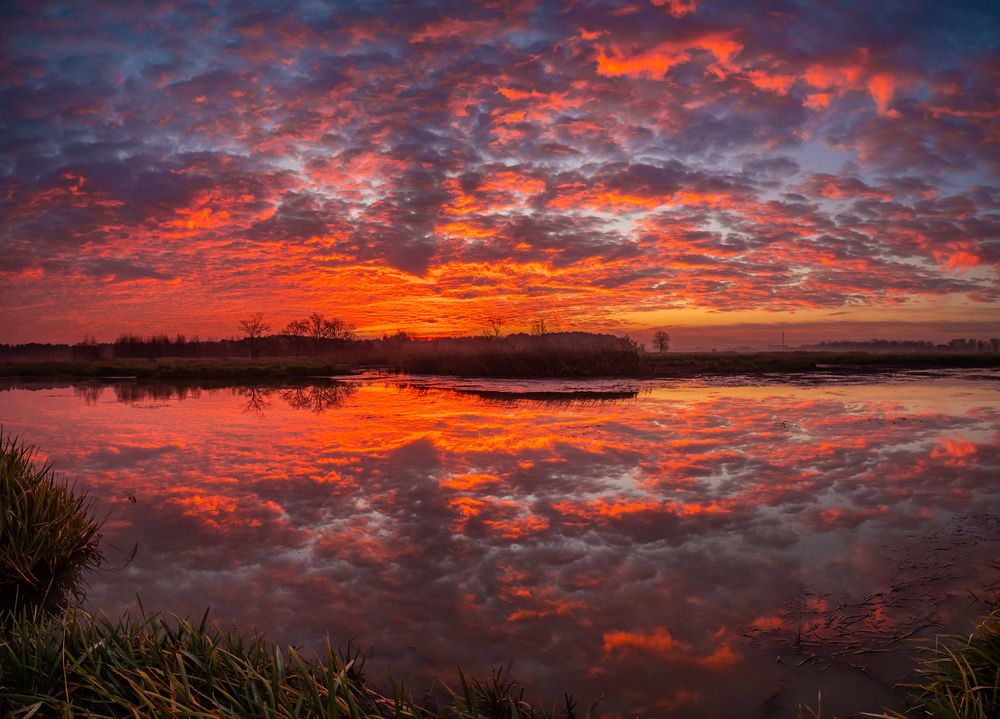 Photograph by Mariusz Fronia