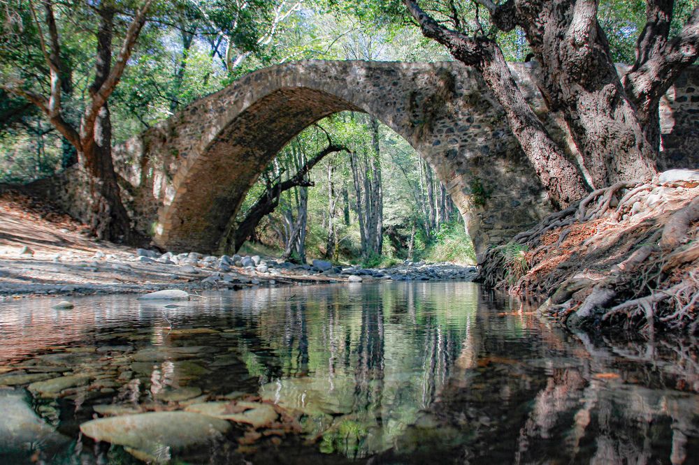 Photograph by ANASTASIYA NIKOLSKAYA