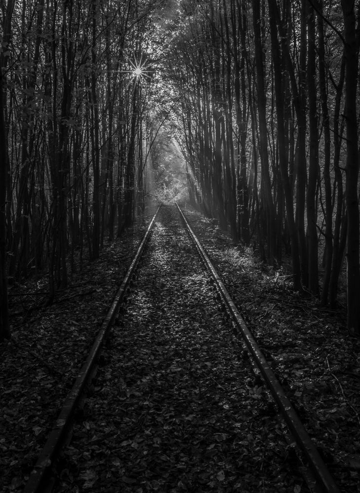 Photograph by Mariusz Fronia