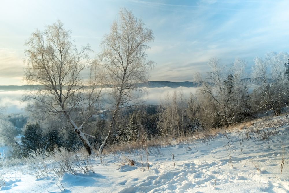 Photograph by Александр Князев