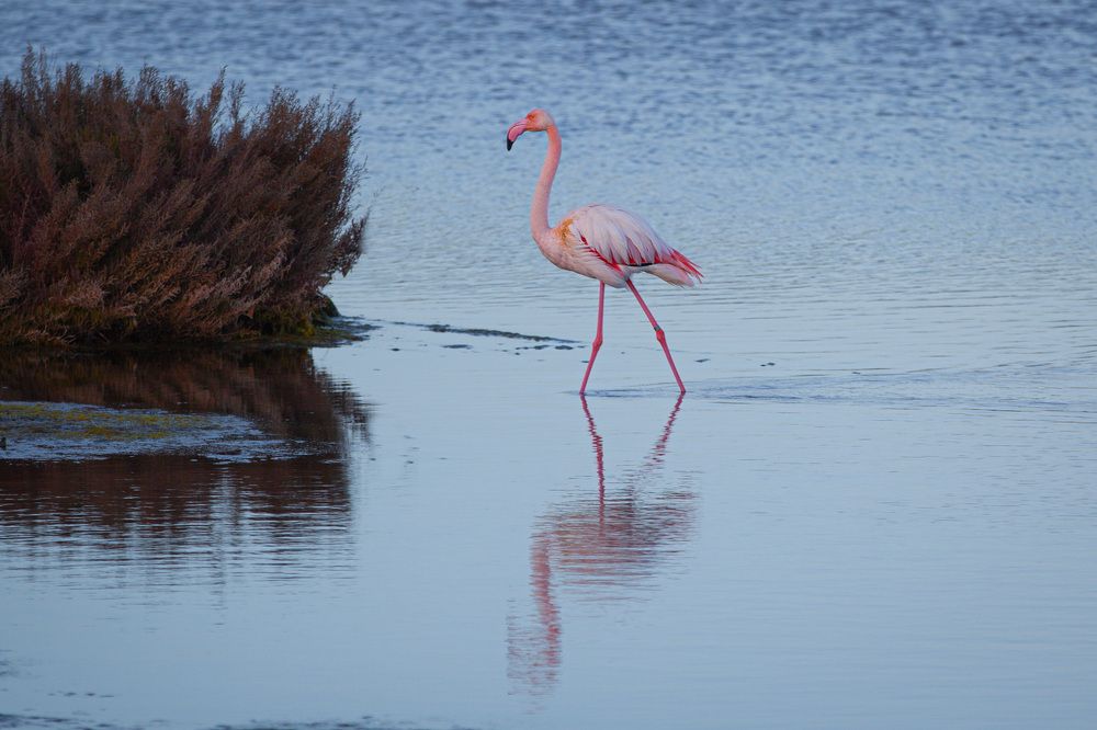 Photograph by Katerina Pustoshnaia