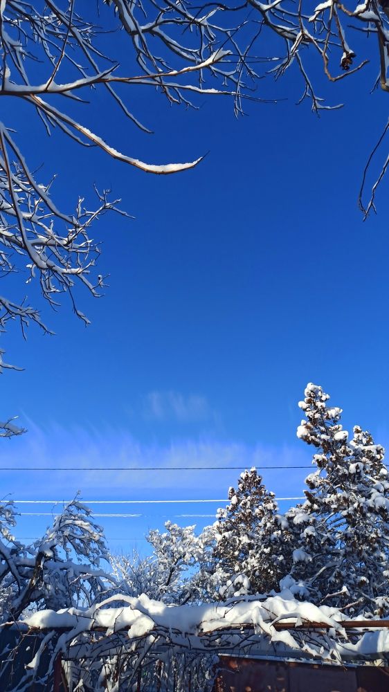 Зимний день.