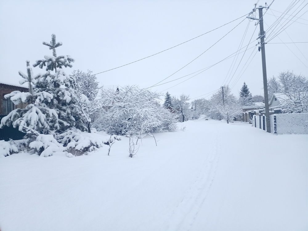 Фотография автора Ольга Винтер