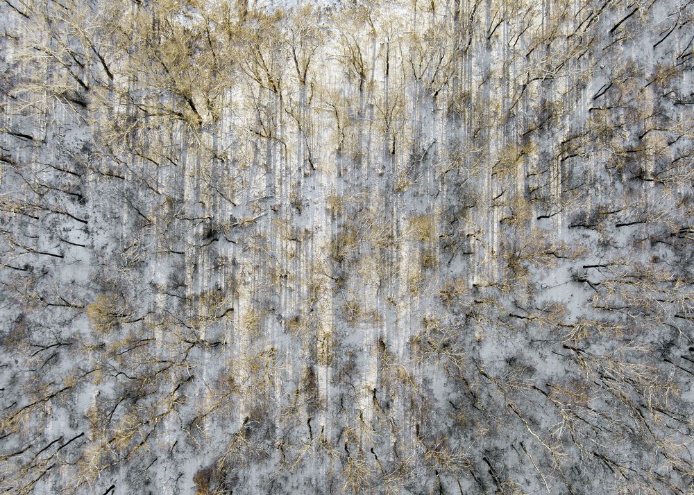 Photograph by Александр Тумко