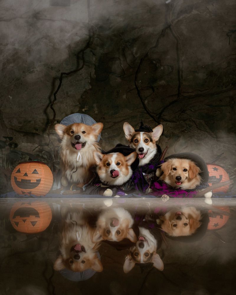 Photograph by Prayuda