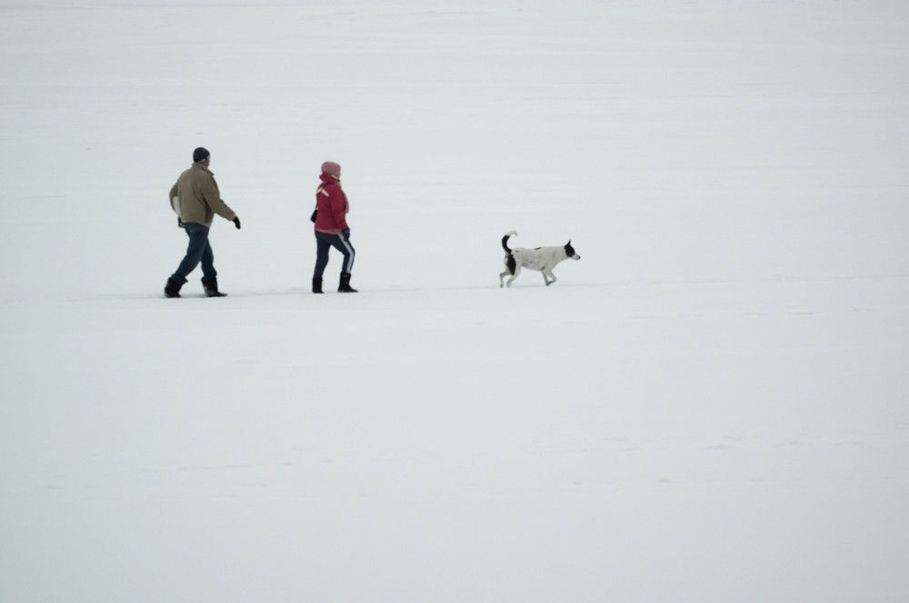 Photograph by Евгений Кузьмин