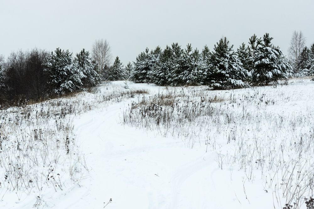 Photograph by Евгений Кузьмин