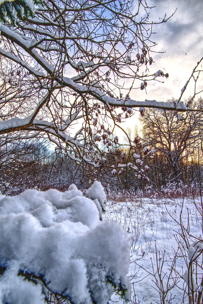 Белыми хлопьями снег