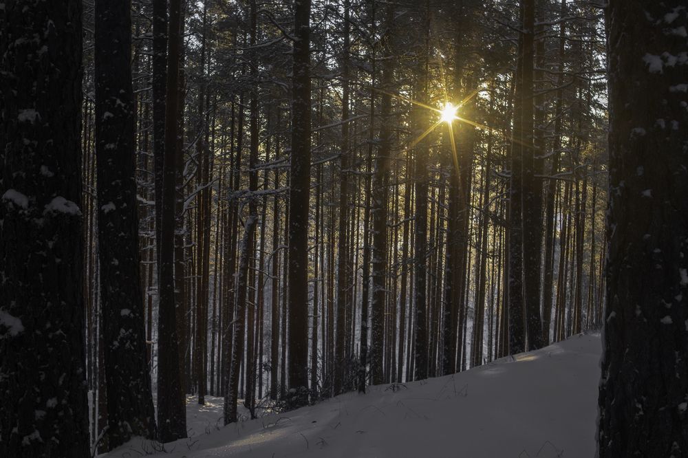 Фотография автора Eimar Kull