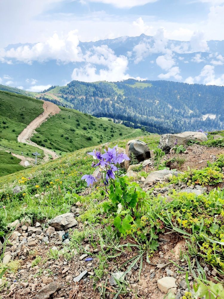 Photograph by Ирина