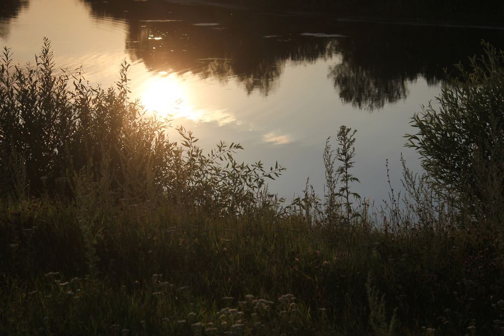 Photograph by Татьяна Аршинова