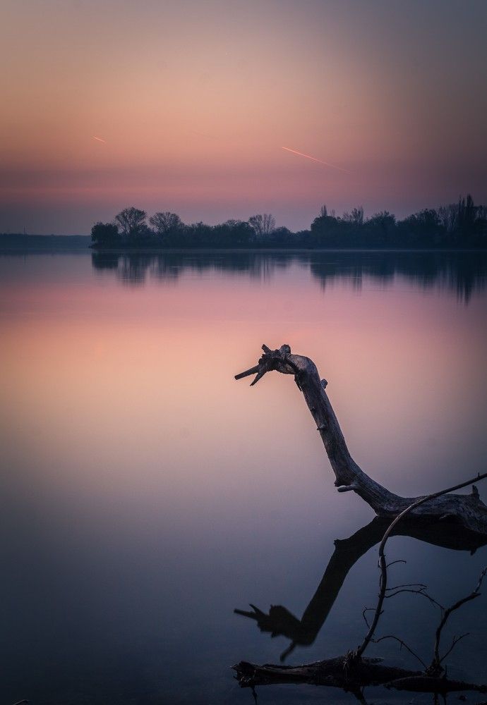 Photograph by Ovidiu Domşa