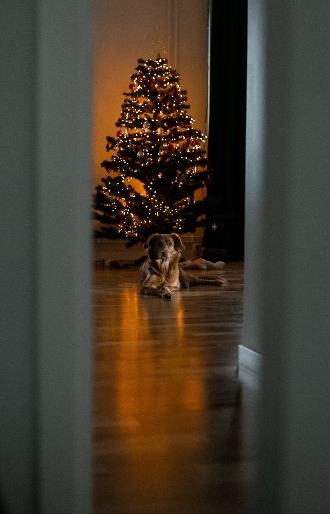 Photograph by Sophie Haek