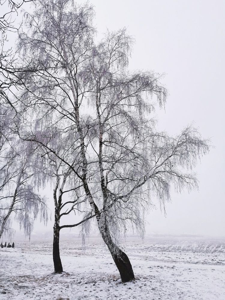 Photograph by Андрей Тур