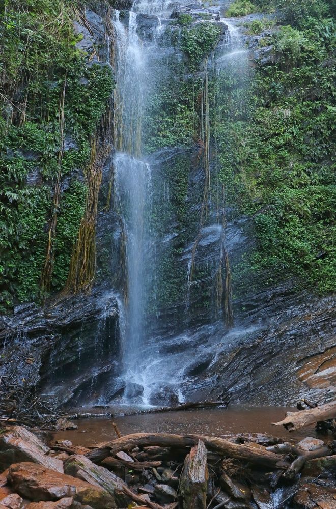 Photograph by Sajith k