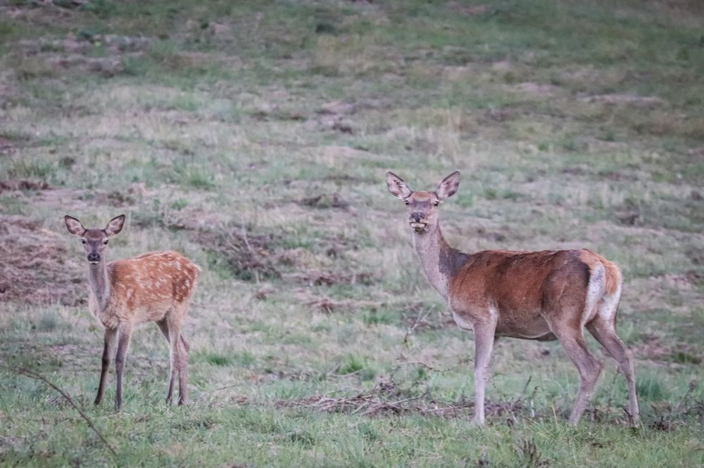 Photograph by George Alexandru Ghiuro