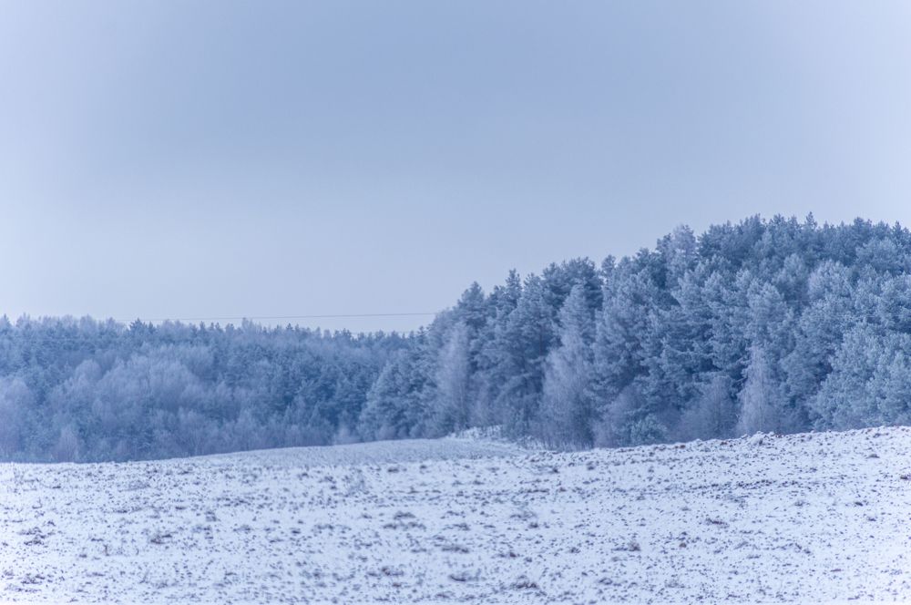 Photograph by Тема Амельянчик