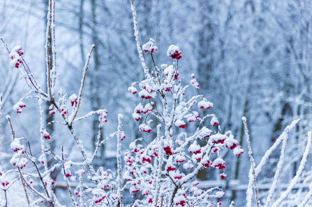 Photograph by Тема Амельянчик