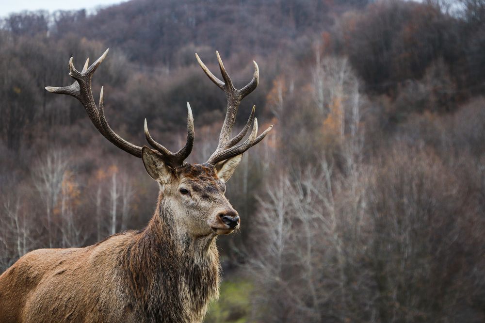 Photograph by George Alexandru Ghiuro