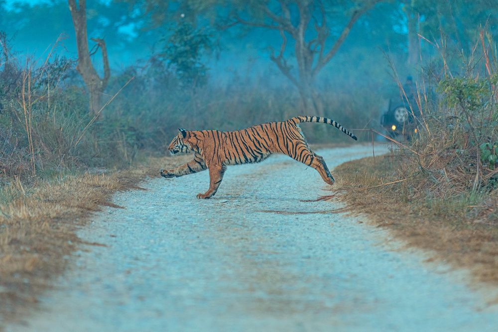 Фотография автора Sudipta Chakraborty
