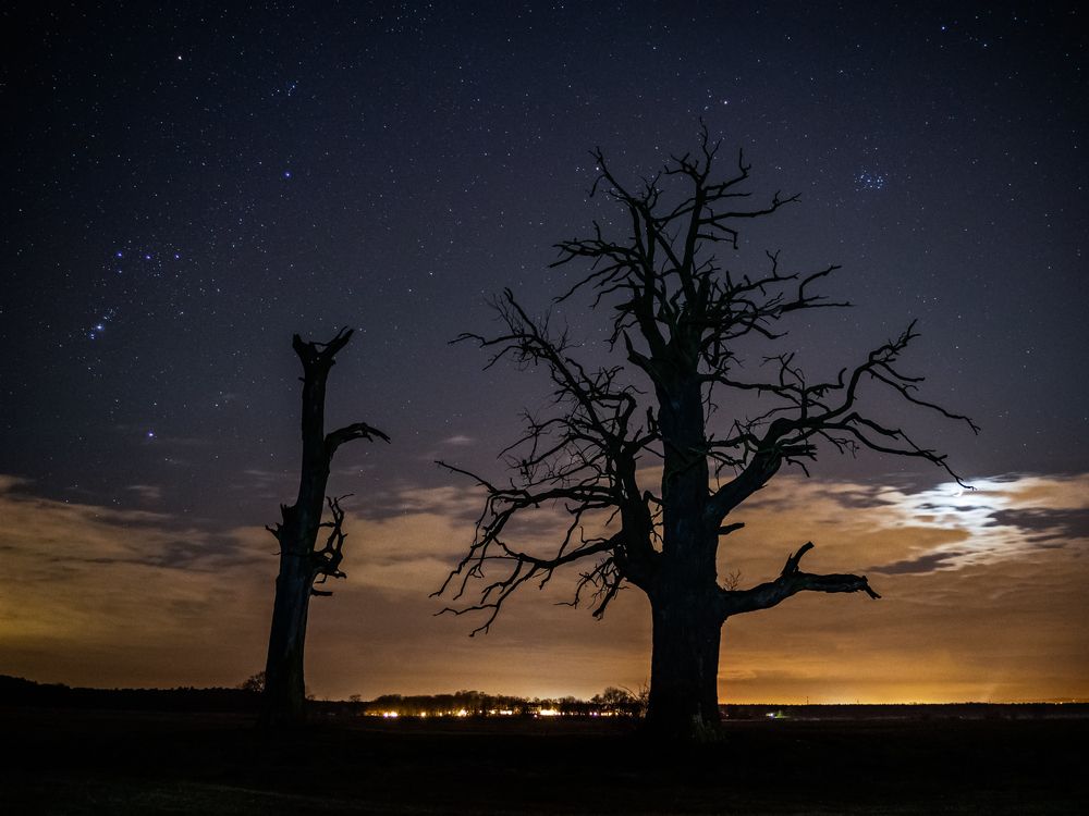 Photograph by Mariusz Fronia