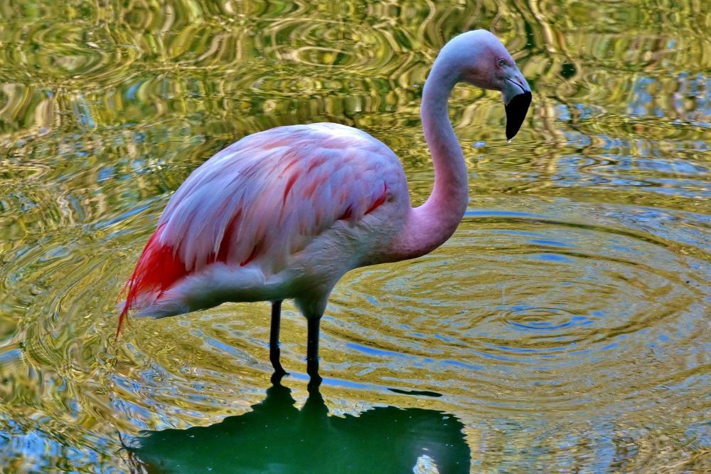 Photograph by backareva irina