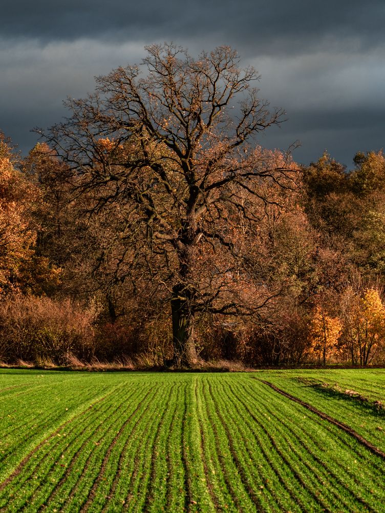 Photograph by Mariusz Fronia