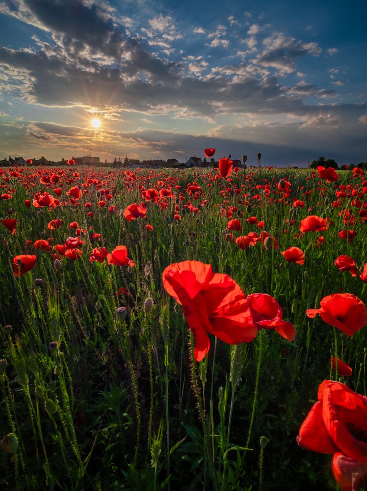 Photograph by Mariusz Fronia