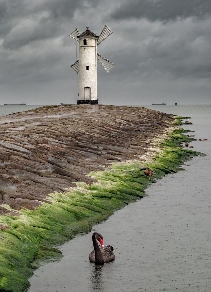 Photograph by Mariusz Fronia